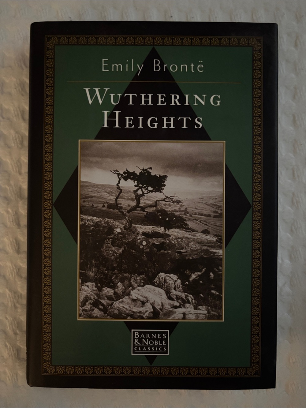 Barnes & Noble Green and Black Wuthering Heights